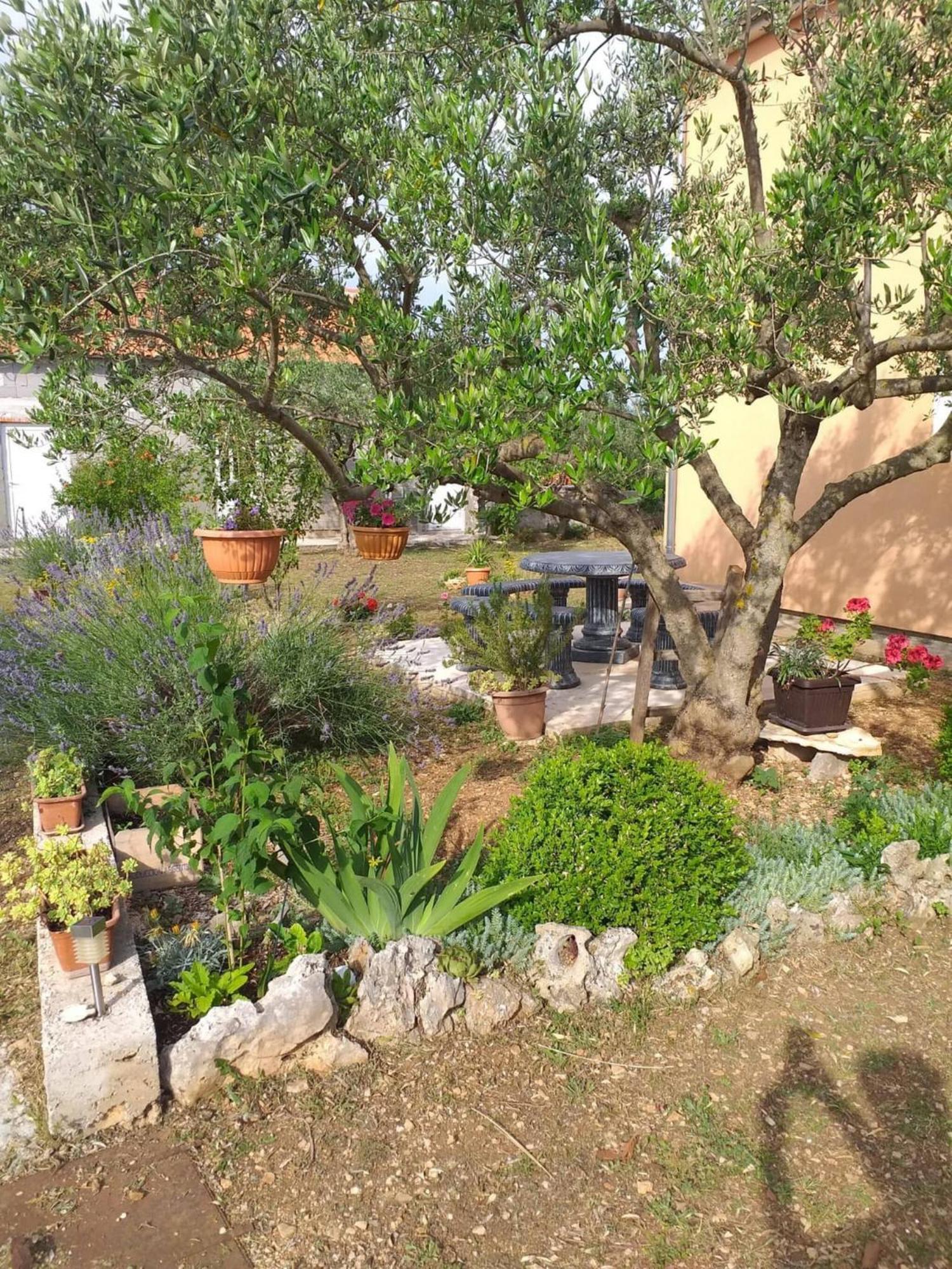 Rural Apartment Ante Drniš Esterno foto